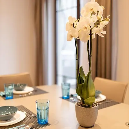 Appartement Basha Premium 2 *