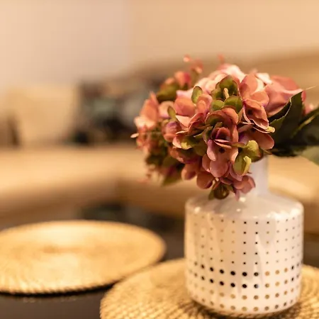 Basha Premium 2 索波特